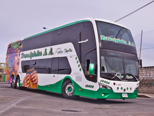 LÍNEA ANDINA DUO PLUS 06